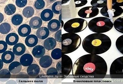 Сельхоз поля в Африке похожи на виниловые пластинки