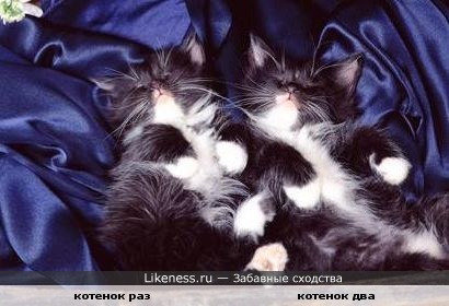 металл близнецы по гороскопу металл близнецы по гороскопу