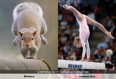 Спортивная гимнастика. Упражнения на бревне.