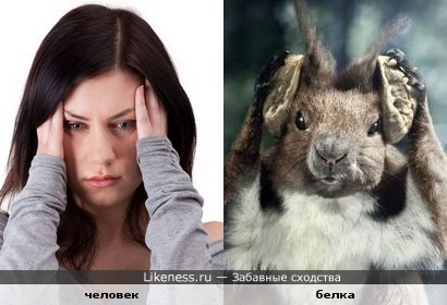 Голова просто раскалывается после вчерашнего =))