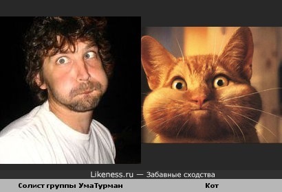 Солист УмаТурман похож на щекастого котика)))