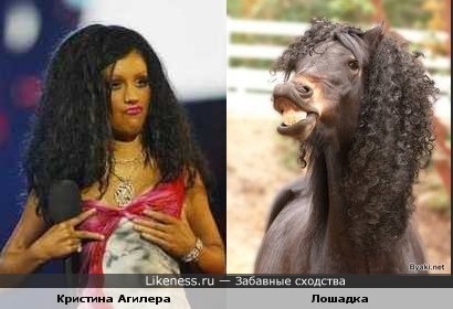 у них похожие прически