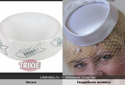 шляпка похожа на кошачью миску