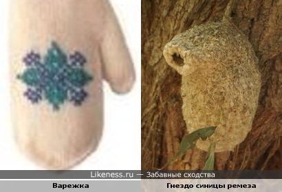гнездо ремеза похоже на варежку