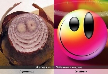 луковица на срезе напоминает пьяный смайлик с рожками)))