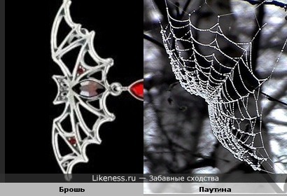 Брошь в форме летучей мышки похожа на паутинку, которая в свою очередь тоже напоминает летучую мышь)))