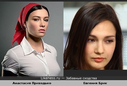 Анастасия Приходько похожа на Евгению Брик