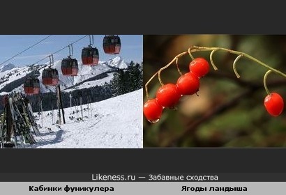 Кабинки фуникулера похожи на ягоды.