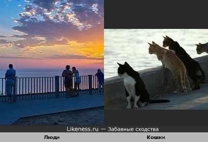 Любители морского пейзажа ).