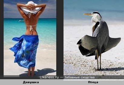 Две грации или солнечные ванны..