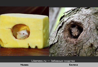 "Мой дом-моя крепость"