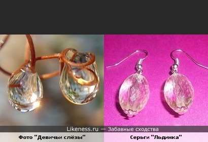 Застывшие капельки похожи на льдинки
