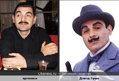 арменка и девид суше