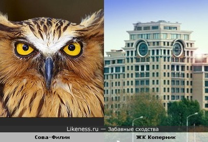 Жилой Комплекс Коперник на Полянке vs Птица