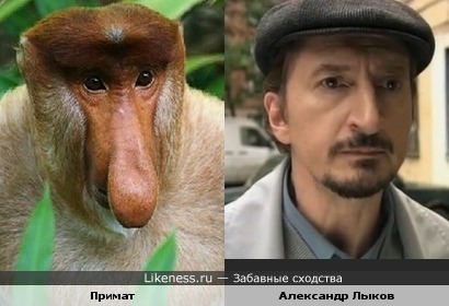 Сериал "Версия. Напарники" (2009) продолжение...