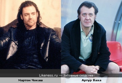 Мартон Чокаш похож на Артура Ваху