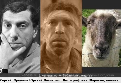 Сергей Юрский, Владимир Толоконников в роли Шарикова, и милая овечка