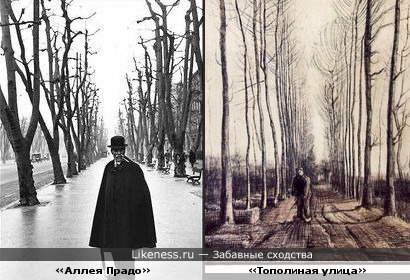 «Аллея Прадо» Картье-Брессона похожа на «Тополиную улицу» Ван Гога