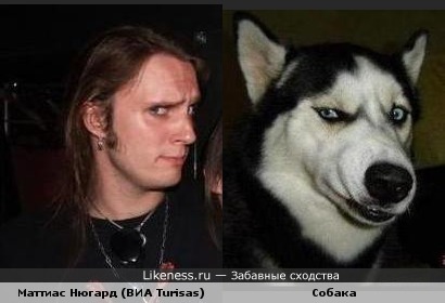 Маттиас Нюгард похож на собаку
