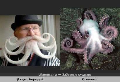 Какой-то бородатый дядя похож на осьминога