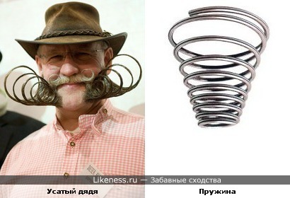 Усы у этого дяди похожи на пружины
