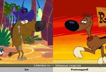 Зиг из м/с "Зиг и Шарко" похож на Ринтиндамба из м/с "Тупой Ринтиндамб". Хотя они созданы студией Xilam...