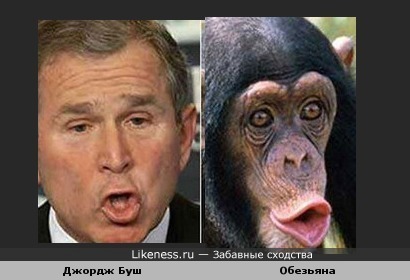 Джордж Буш похож на обезьяну