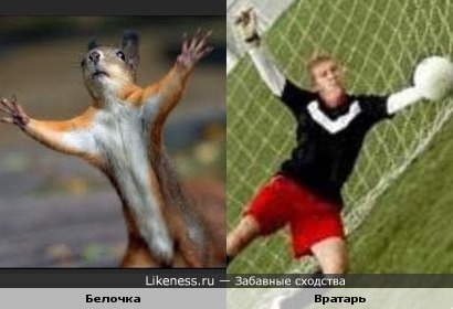 Белка и вратарь.