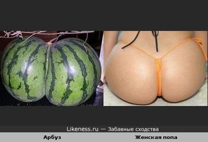 Необычный арбуз и женская попа в стрингах похожи