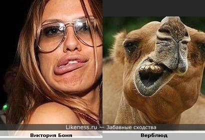 Виктория Боня похожа на верблюда