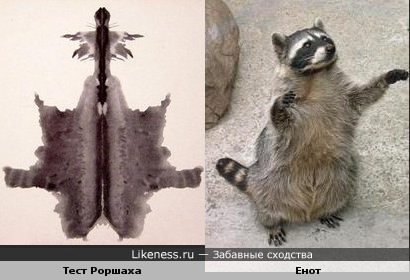 Клякса из тестов Роршаха и енот