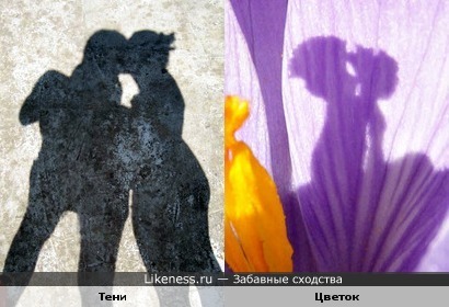 Свет любви и тени