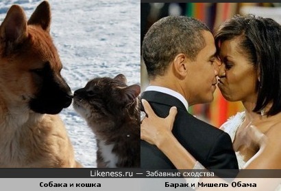 Проявление чувств