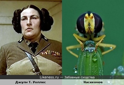 Джули Т. Уоллес в "Пятом Элементе" и насекомое Джули Т. Уоллес в "Пятом Элементе" и насекомое