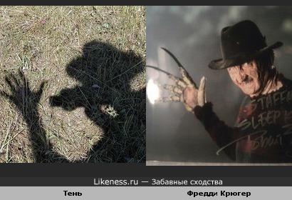 Тень человека камерой напоминает Фредди Крюгера