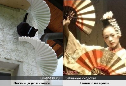 Кошка и Гейша