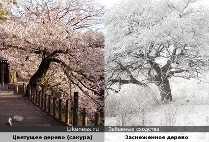 Картинки лета осенью весны Картинки лета осенью весны