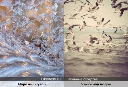 Морозный узор напомнил морской пейзаж