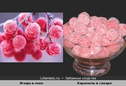 Карамельки на ветке
