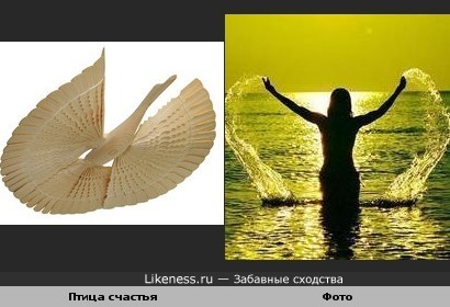 "Вот так бы разбежалась, подняла руки и полетела..."