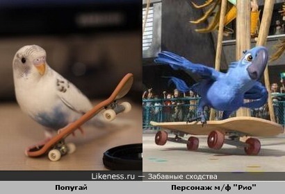 "Простите, Вы в мультфильмах не снимались?"