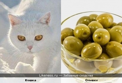 Оливковые глаза