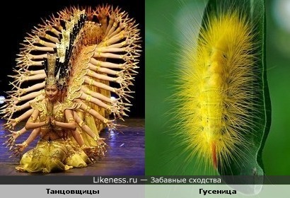 Много ног или рук