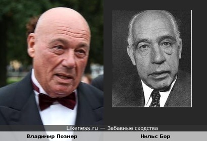 Владимир Познер похож на датского физика Нильса Бора