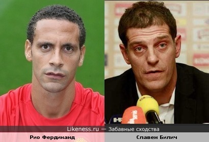 Рио Фердинанд похож на Славена Билича