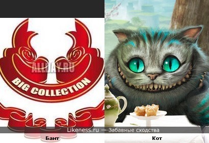 Бант похож на кота