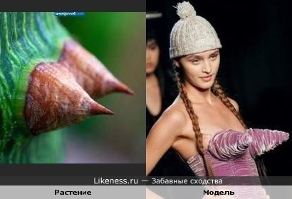 Природа и высокая мода