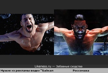 Двое россомах)