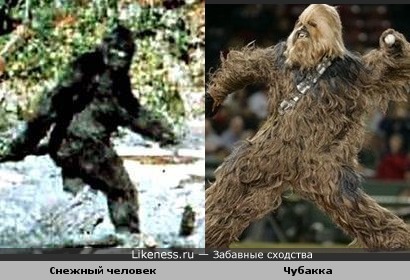 Снежный человек похож на Чубакку из Звёздных Войн