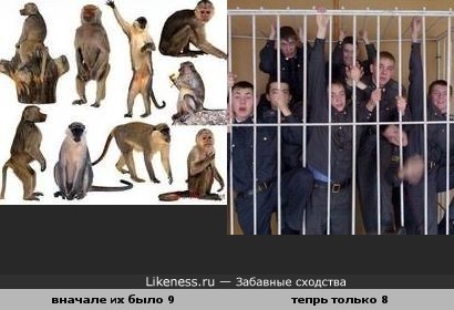 Становятся известны причины ухода майора Дымовский из милиции